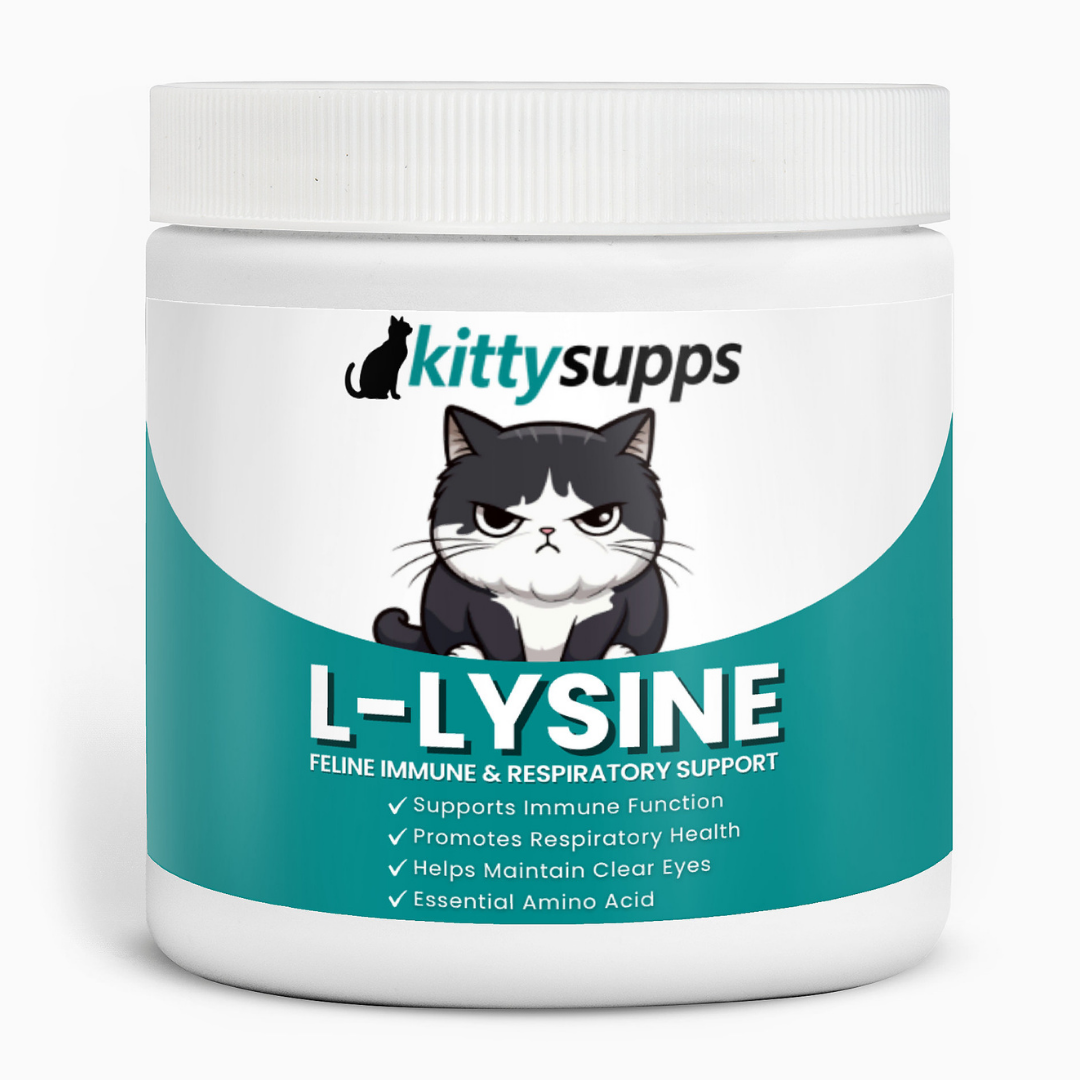 pure l-carnitine Acetyl-L-Carnitine 500mg (Pure Encapsulations)