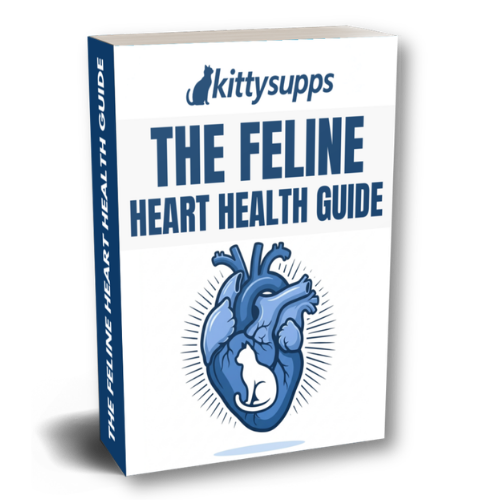 The Feline Heart Health Guide