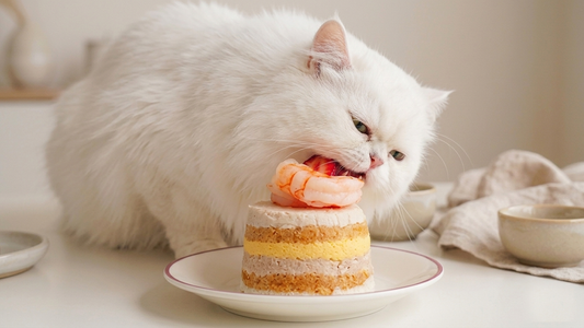 What Human Foods Can Cats Eat? A Vet-Reviewed Guide