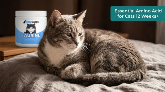 KittySupps Taurine vs Other Taurine Supplements for Cats: Which Is Better?