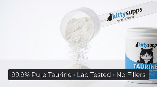 Kitty Supps Taurine: Benefits, Ingredients & Side Effects Explained