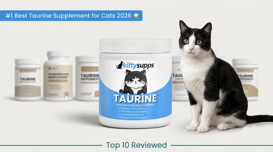 Best Taurine Supplements for Cats in 2026 (Top 10 Picks Reviewed)