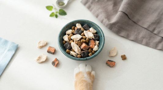 Best Cat Treats &amp; Snacks: A Vet-Informed Buying Guide