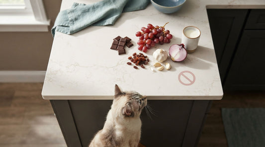 Foods Cats Should Never Eat: The Complete Danger List Every Owner Needs
