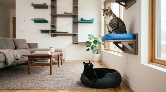 How to Stop House Cats From Fighting