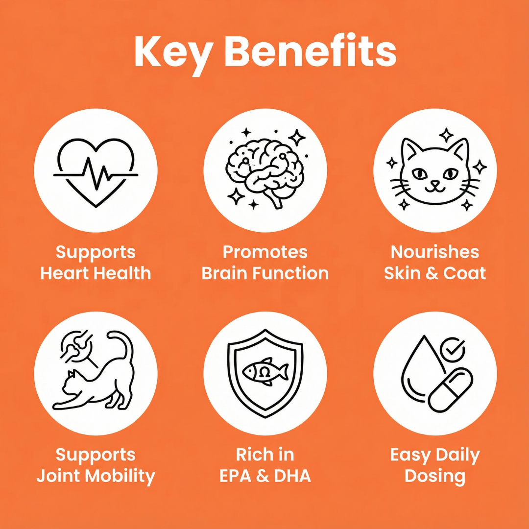 KittySupps™ Omega-3 Supplement