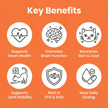 KittySupps™ Omega-3 Supplement