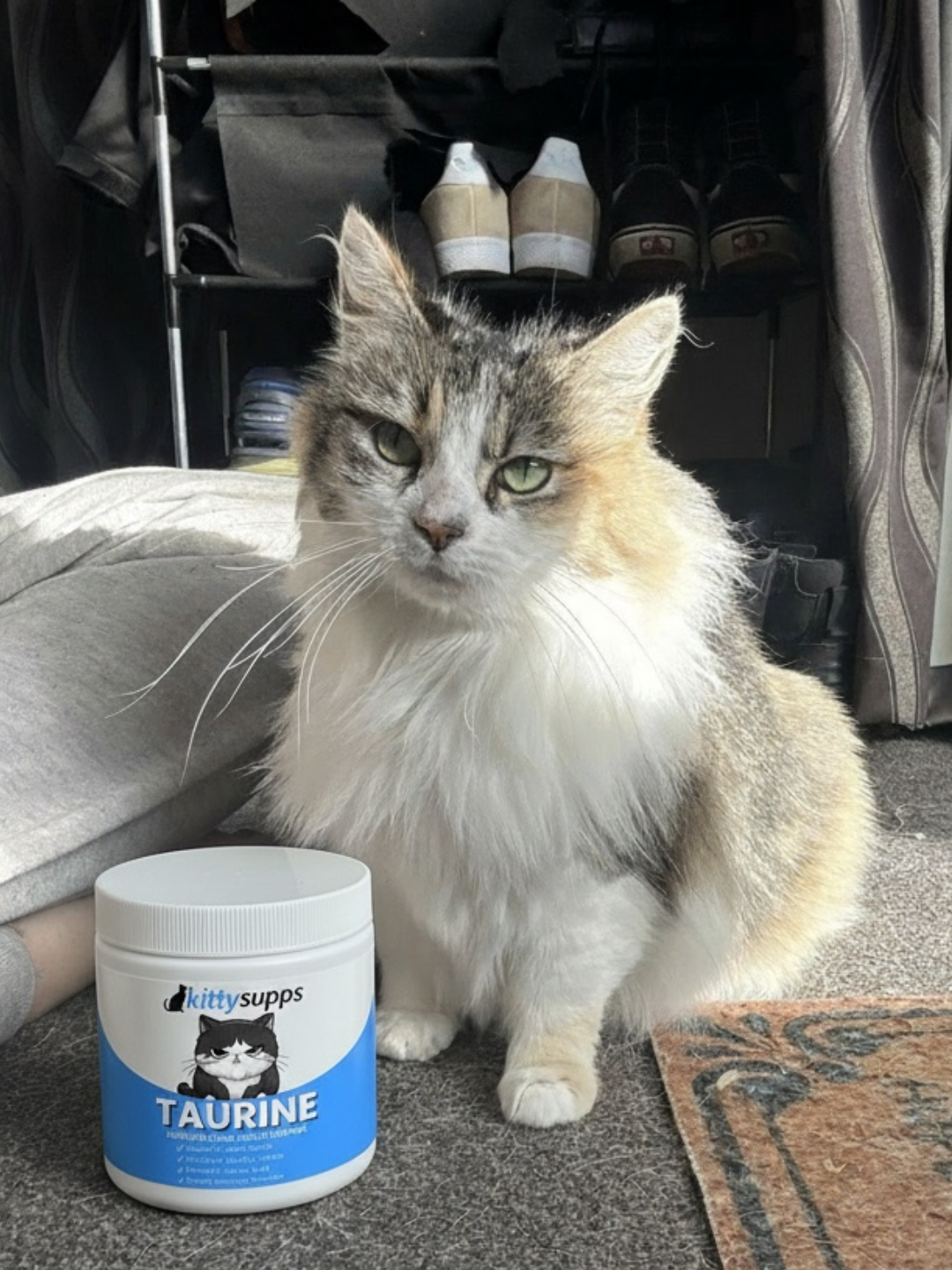 A long-haired calico cat sits on a carpet next to a container of PureVitalic Taurine supplement.