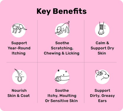 All-Itch & Immunity Treats